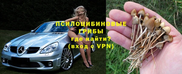 прущая мука Аркадак