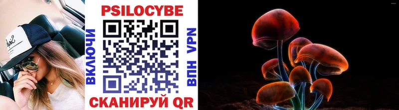 Псилоцибиновые грибы Magic Shrooms  Биробиджан 